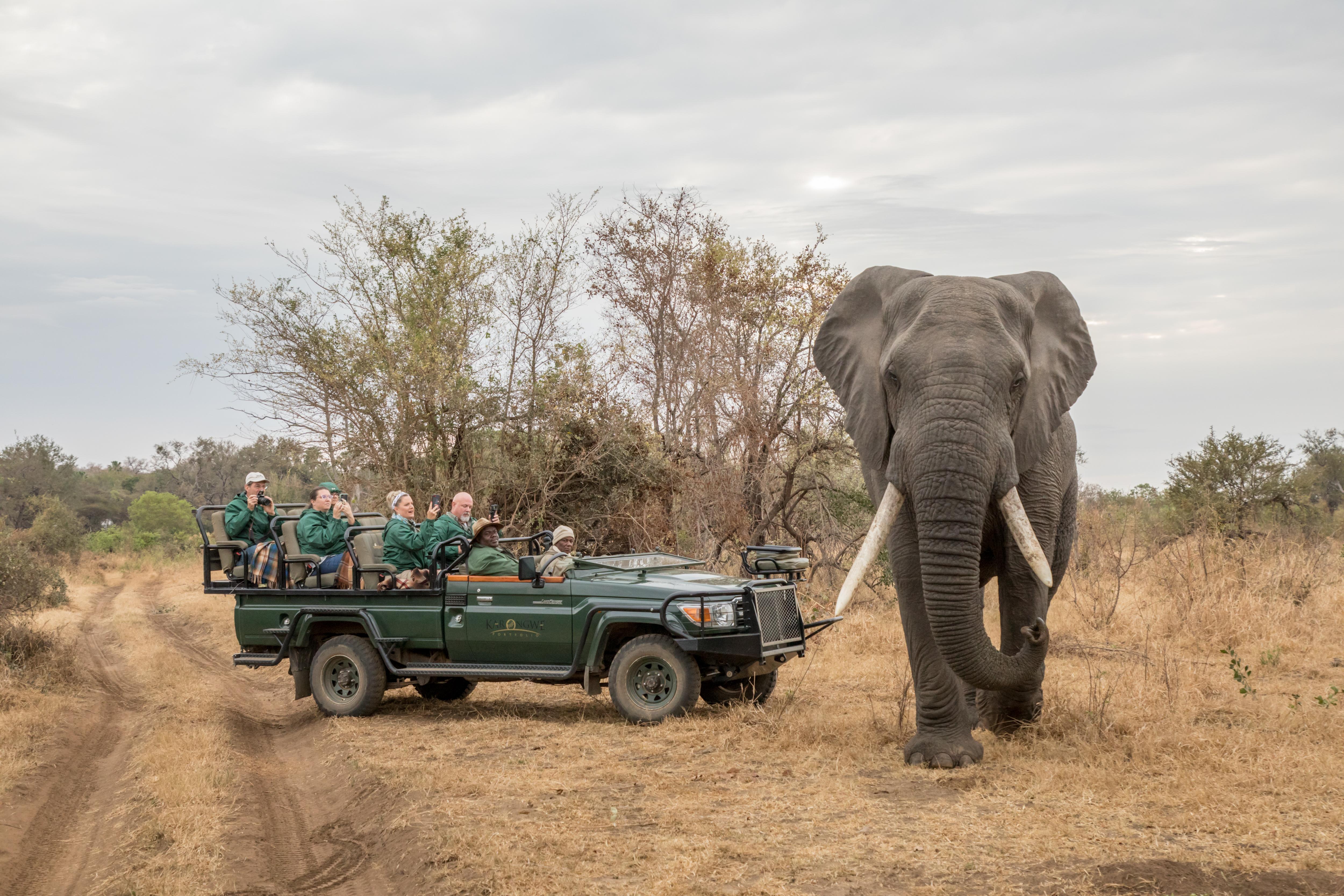 シドゥリ プライベート ゲーム ロッジ Karongwe Game Reserve エクステリア 写真