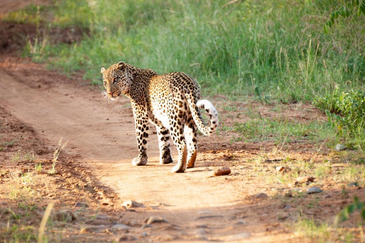 シドゥリ プライベート ゲーム ロッジ Karongwe Game Reserve エクステリア 写真