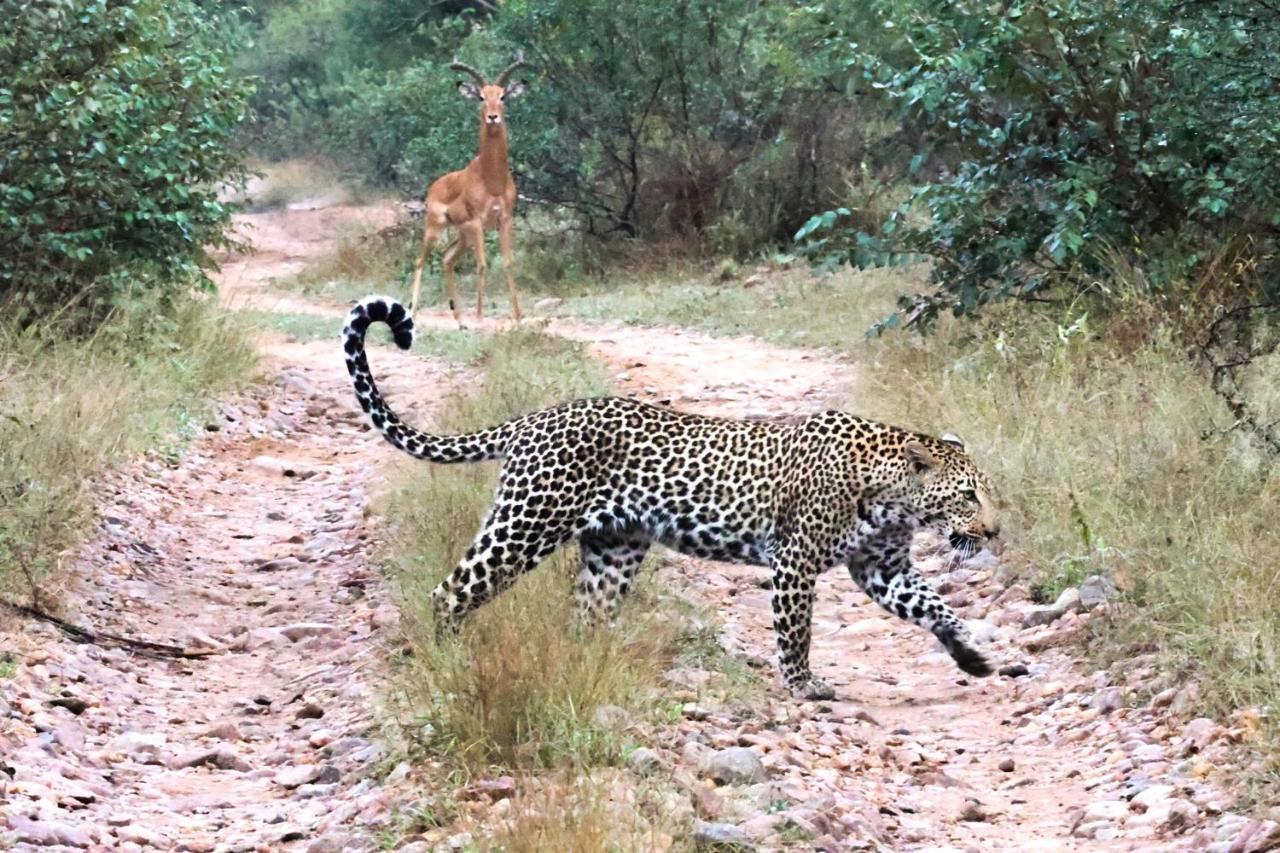 シドゥリ プライベート ゲーム ロッジ Karongwe Game Reserve エクステリア 写真