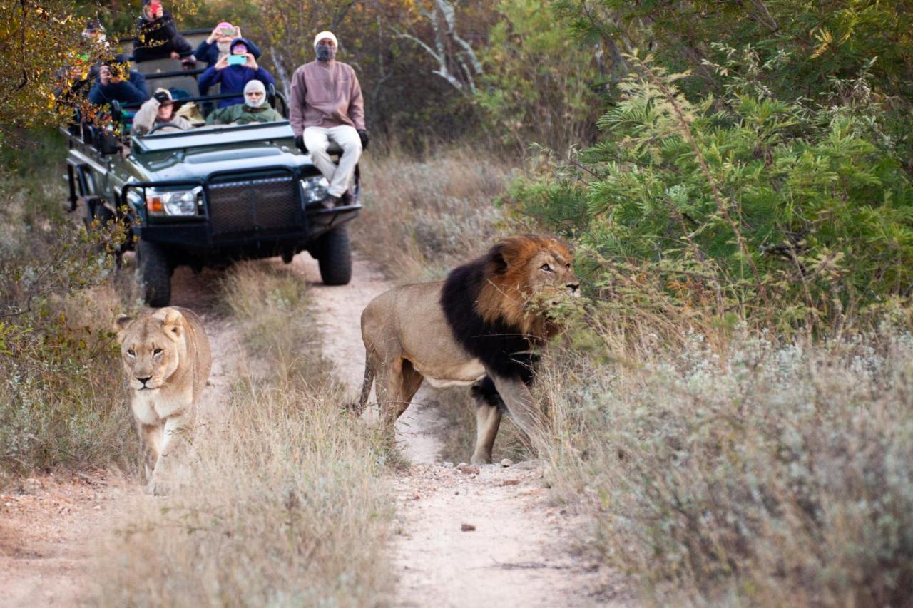シドゥリ プライベート ゲーム ロッジ Karongwe Game Reserve エクステリア 写真