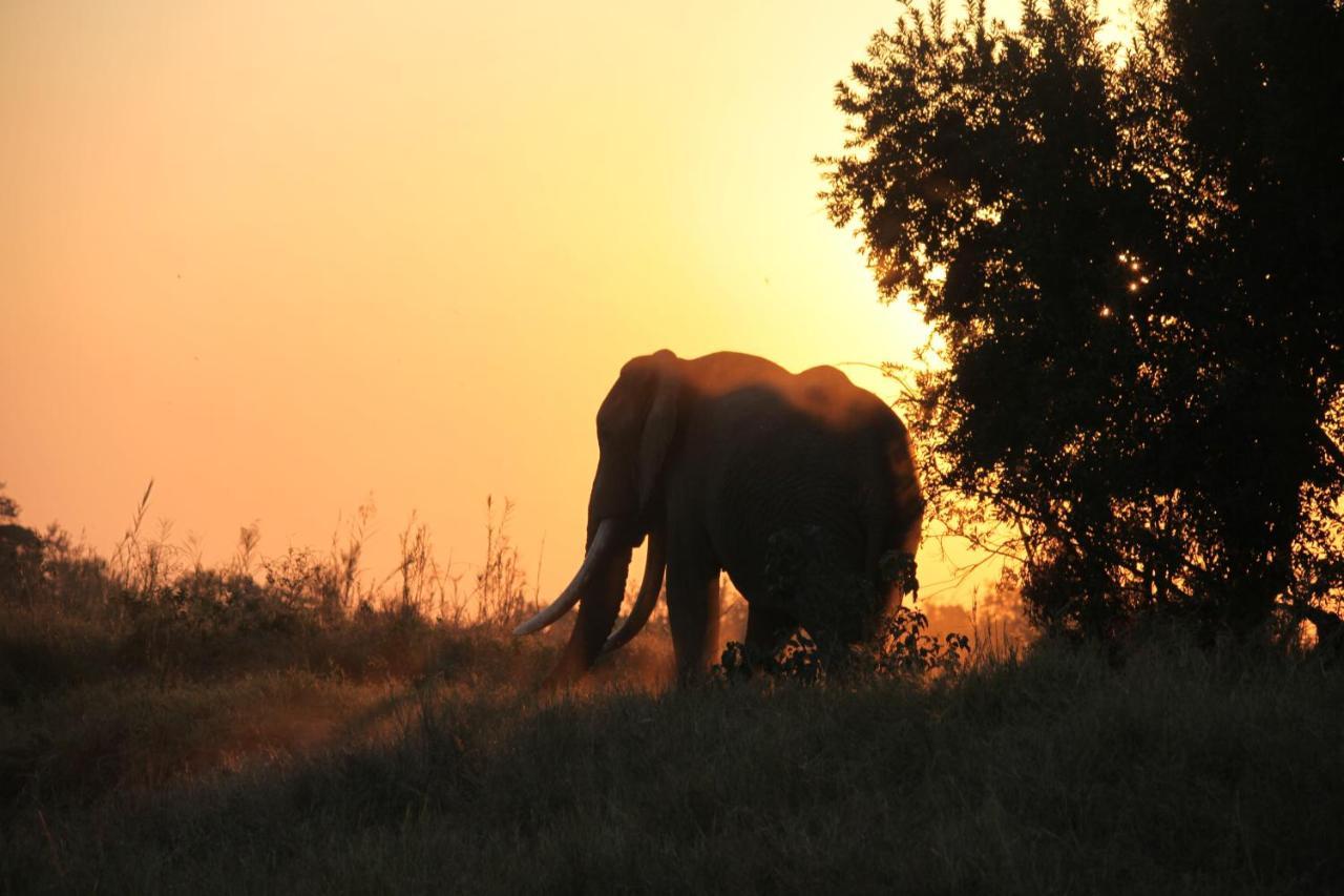 シドゥリ プライベート ゲーム ロッジ Karongwe Game Reserve エクステリア 写真