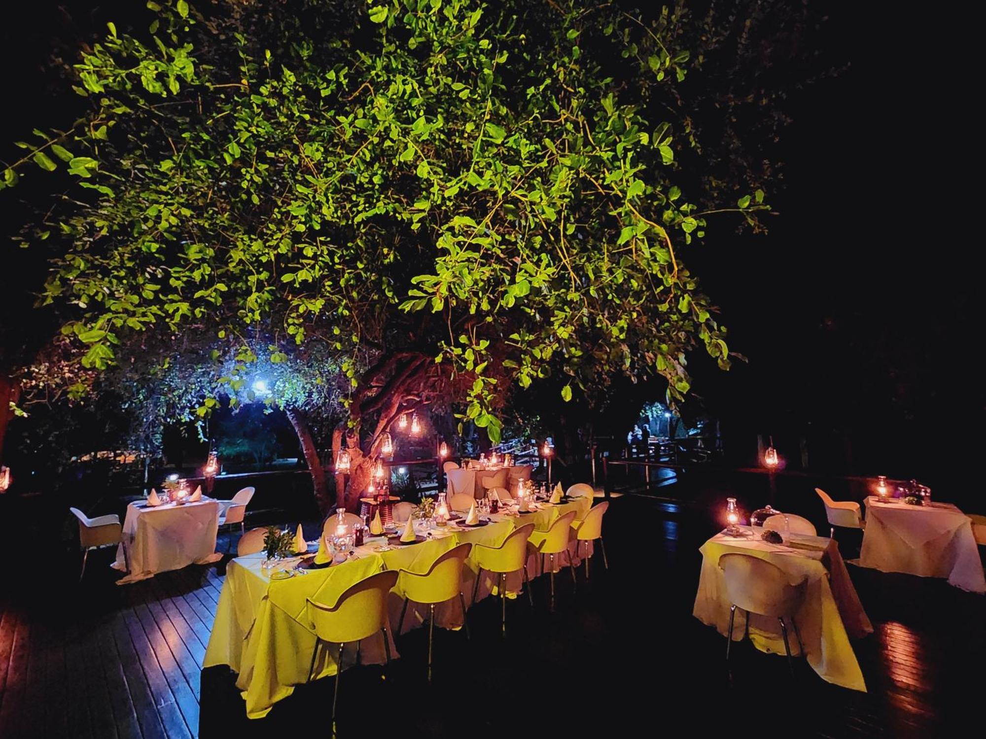 シドゥリ プライベート ゲーム ロッジ Karongwe Game Reserve エクステリア 写真