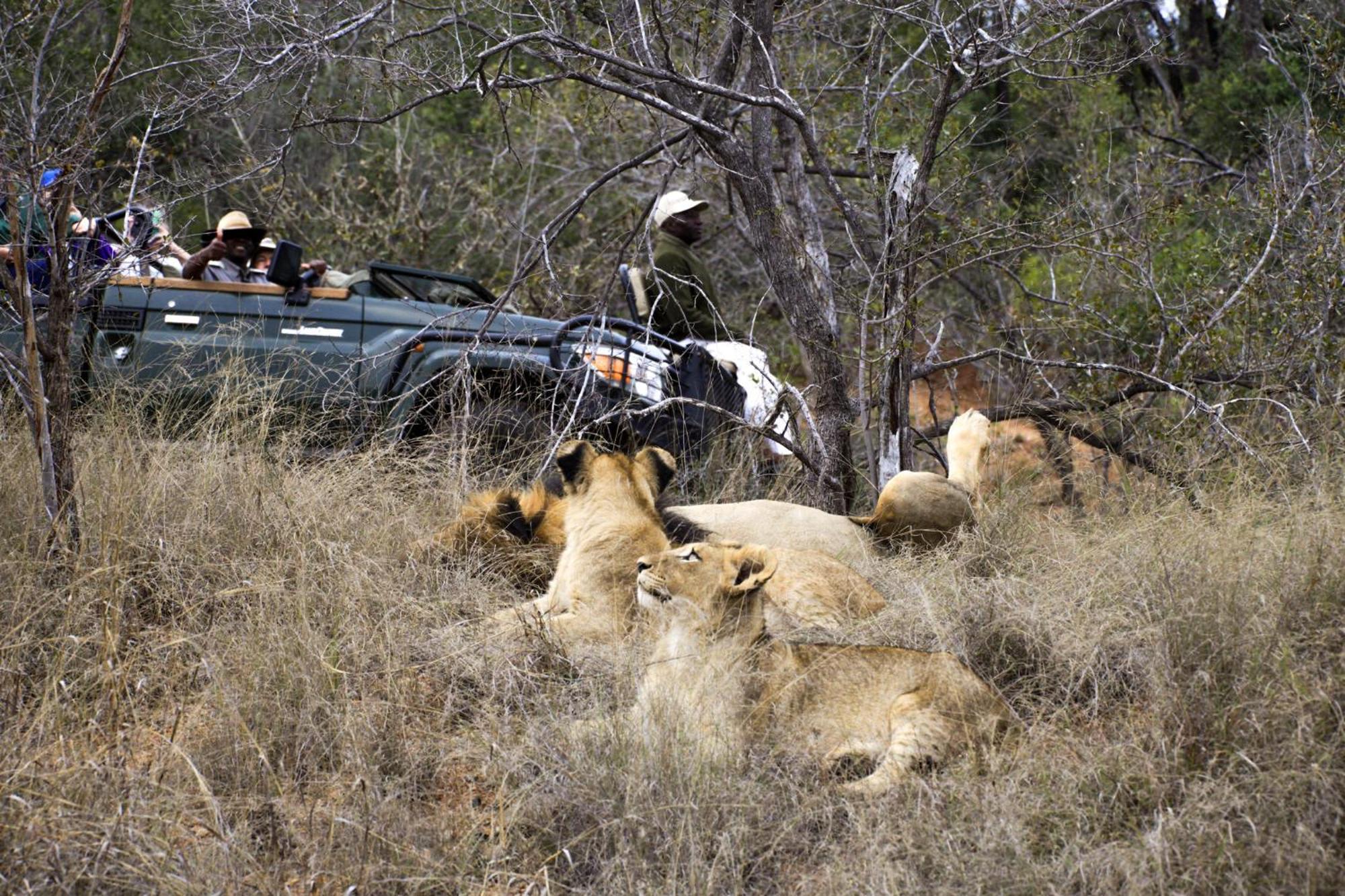 シドゥリ プライベート ゲーム ロッジ Karongwe Game Reserve エクステリア 写真