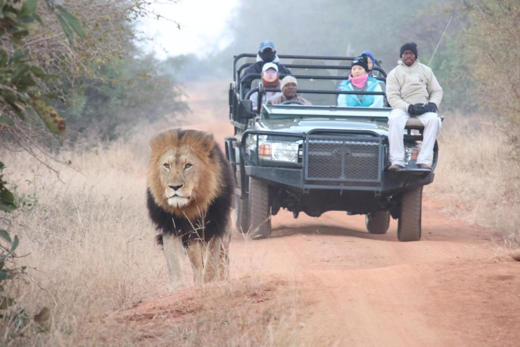 シドゥリ プライベート ゲーム ロッジ Karongwe Game Reserve エクステリア 写真