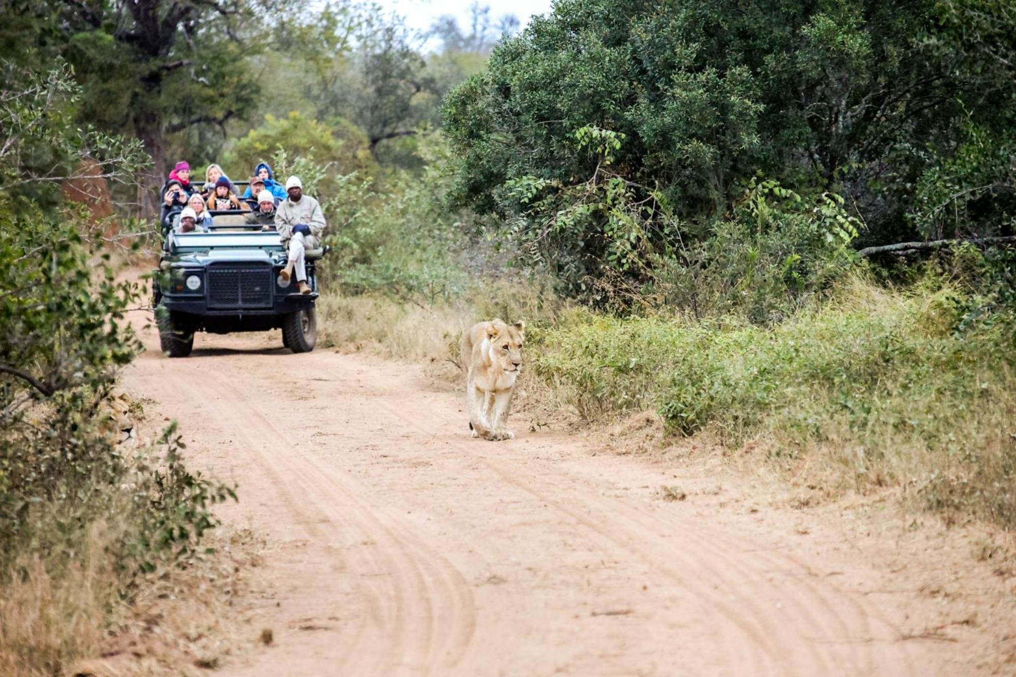 シドゥリ プライベート ゲーム ロッジ Karongwe Game Reserve エクステリア 写真